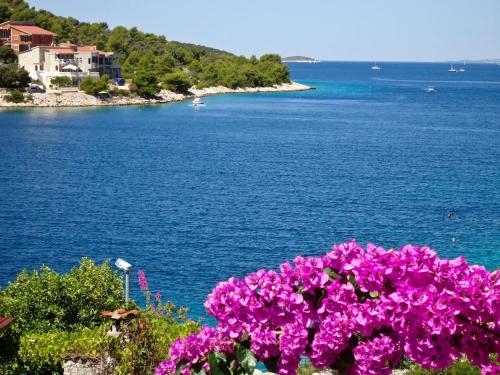 Fotografie z fotogalerie ubytování Apartment Slavio v destinaci Ražanj