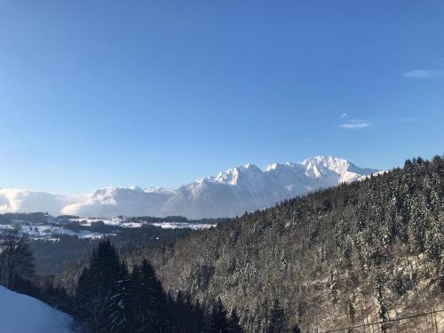 アパートメントの近くで見られる自然の景観