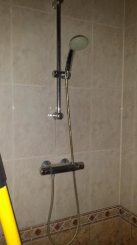 a shower with a shower head in a bathroom at B & B Kostelijk in Boekelo