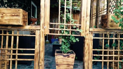 Gallery image of Casa Anina in Anina