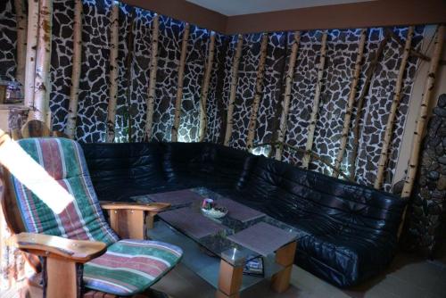 Gallery image of Casa Anina in Anina