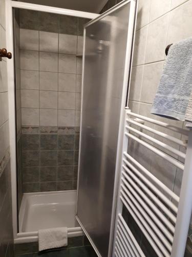 a shower with a glass door in a bathroom at Sobe-Apartma in Maribor