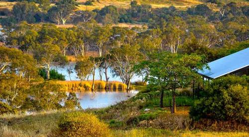 a view of a lake with trees and a building at Riverview Rise Retreats in Mannum