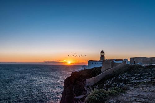 a lighthouse on a cliff next to the ocean with birds at Tonel Apartamentos Turisticos in Sagres