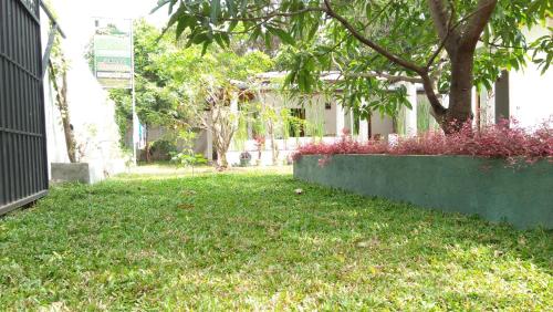 a green yard with a tree and pink flowers at Disna Homestay in Habarana