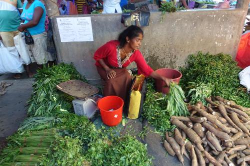 a woman sitting next to a pile of vegetables at Plantation House in Hikkaduwa