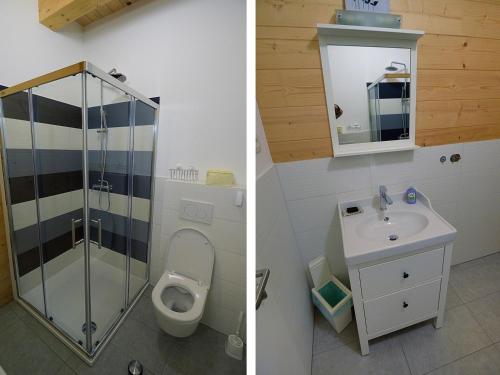 two pictures of a bathroom with a toilet and a sink at B&B Woodhouse in Brezje