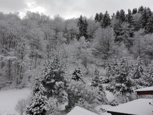 a black and white photo of a snow covered forest at Ferienwohnung Zenzen in Adenau