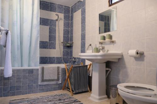 a bathroom with a sink and a toilet and a shower at Linos Traditional Cottage in Theológos