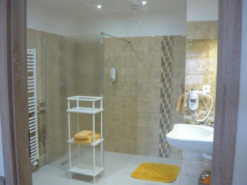 a bathroom with a shower and a sink and a toilet at Apartments - Penzion Lena in Hradec Králové