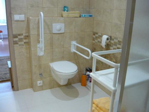 a bathroom with a toilet and a shower and a sink at Apartments - Penzion Lena in Hradec Králové