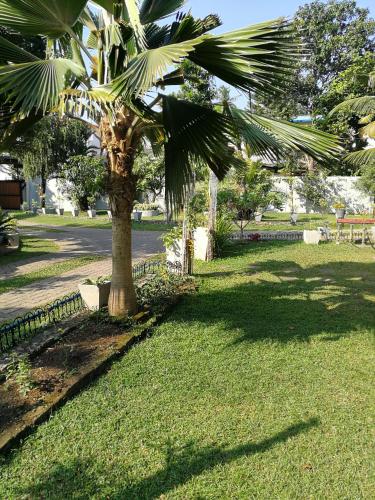 Zahrada ubytování Holiday Home