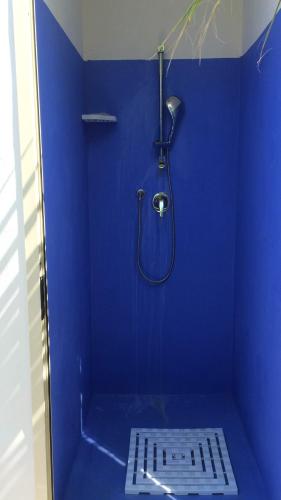 ヴィエステにあるCasa aleの青い壁のバスルーム(シャワー付)