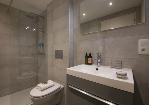 y baño con lavabo, aseo y ducha. en Appartement Le Génépi - Happy Rentals, en Chamonix-Mont-Blanc