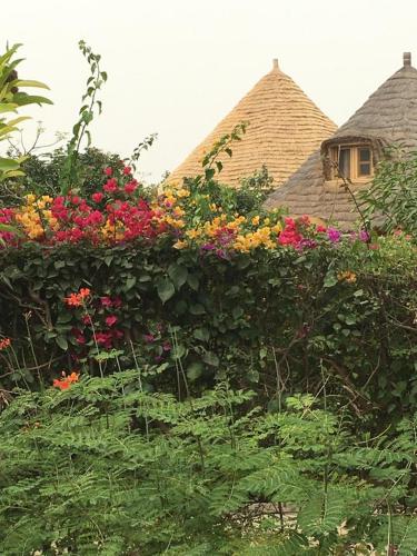 a garden with flowers in front of a house at Keur Chérie in Sali Nianiaral