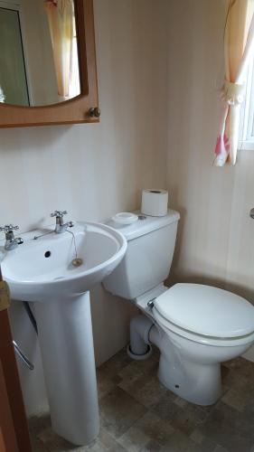 uma casa de banho com um WC branco e um lavatório. em Ruth's Repose em Shrewsbury