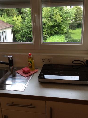 a kitchen counter with a sink and two windows at Heidelberg Appartements Berger in Heidelberg