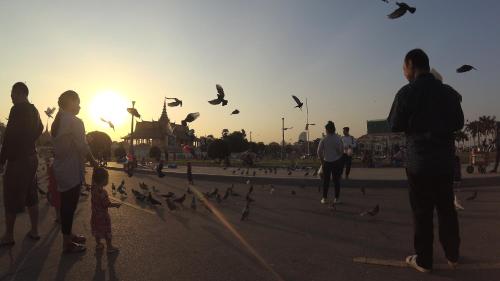 a group of people standing around a flock of birds at Golden Noura Villa-Pub & Restaurant in Phnom Penh