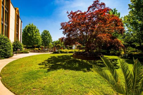 a tree in the middle of a grassy yard at Ramada by Wyndham Gainesville in Gainesville