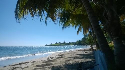 Pantai di atau dekat dengan rumah tamu ini