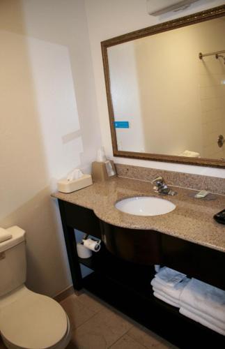 a bathroom with a sink and a toilet and a mirror at Valley Oaks Inn Woodland in Woodland