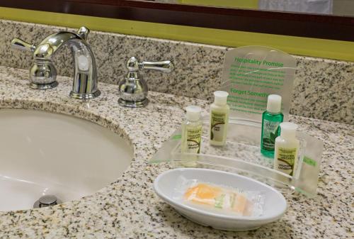 a bathroom counter with a sink with soap andodorizers at Holiday Inn Hotel French Quarter-Chateau Lemoyne by IHG in New Orleans