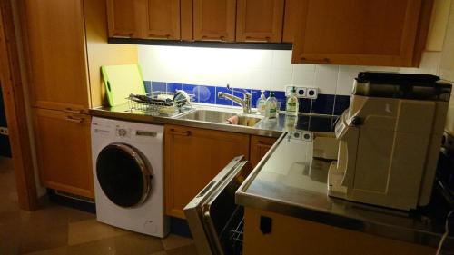 a kitchen with a sink and a washing machine at Schloss Gmünd in Gmünd