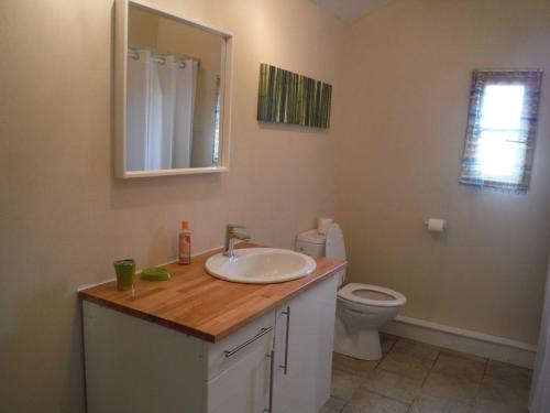 een badkamer met een wastafel en een toilet bij La Grange in Le Vigan