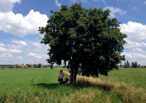 a woman and her dog sitting under a tree at B&B Antica cascina in Boretto