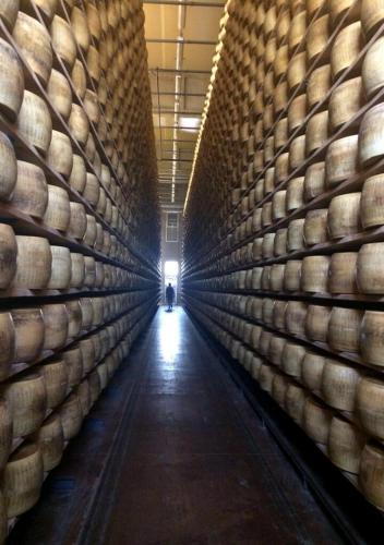 a person standing in a barrel room in a wine cellar at B&B Antica cascina in Boretto