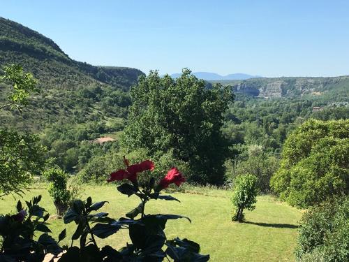 a red flower on a green field with mountains in the background at Fort de la Bastide in Uzer