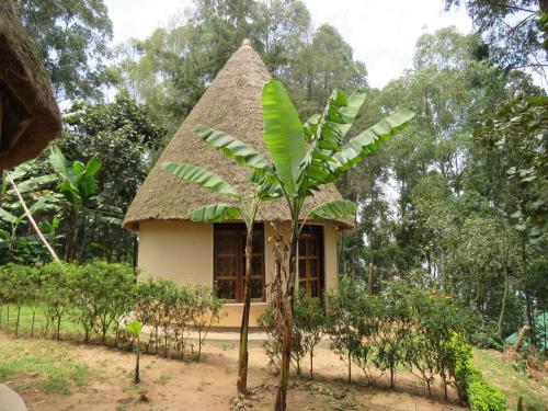 Foto da galeria de Itambira Island, Seeds of Hope em Chabahinga