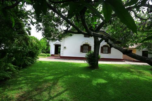a white house with a tree in the yard at Old Parkland Hostel in Galle