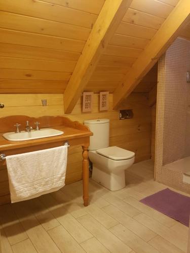 uma casa de banho com um WC e um lavatório em B&B de German em Pucón