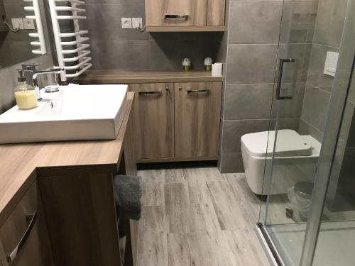 Kúpeľňa v ubytovaní Apart 20