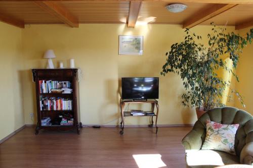 a living room with a tv and a plant at Ferienhaus Loose 8 in Letschin