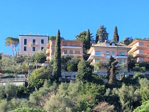 a group of houses on a hill with trees at CaseMaggi Attico sul Mare, Penthouse on the Sea in Portovenere