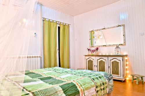 a bedroom with a bed and a mirror at Holiday Home Green House in Divčibare