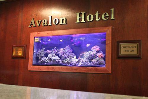Gallery image of The Avalon Hotel and Conference Center in Erie