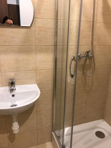 a bathroom with a sink and a shower at Noclegi Mikołów in Mikołów