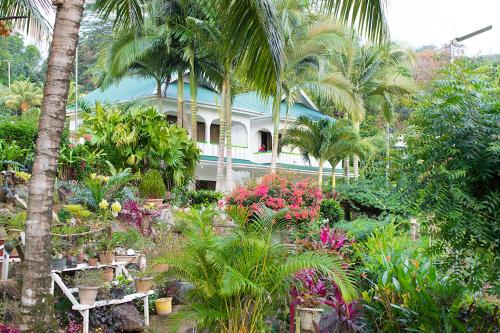 Gallery image of Evergreen Apartments in Anse Boileau