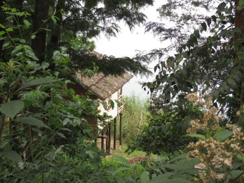 Foto da galeria de Itambira Island, Seeds of Hope em Chabahinga