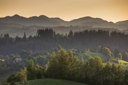 a misty valley with trees and mountains in the background at Bran Monte Crai Chalet in Bran