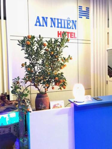an orange tree sitting on top of a table at Hotel An Nhien in Buon Ma Thuot