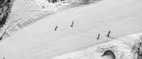 a group of birds on a snow covered slope at Sunny Ferienwohnungen Ski In - Ski Out - Self Check-in in Zell am See