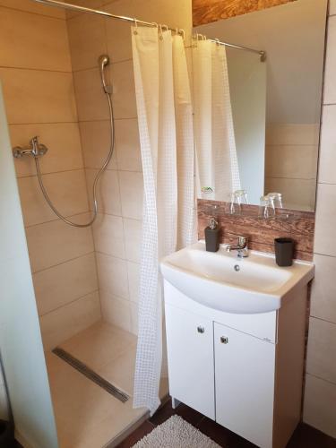 ein Bad mit einem Waschbecken und einer Dusche in der Unterkunft Penzión Prameň in Vinné