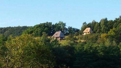 two cottages in the middle of a forest at Casa Glod in Glod