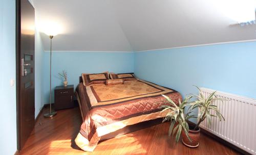 a bedroom with a bed in a blue wall at Maxima in Kamianets-Podilskyi