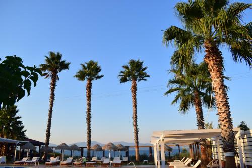 a group of palm trees and lounge chairs at a resort at Villa Eugenia in Theológos