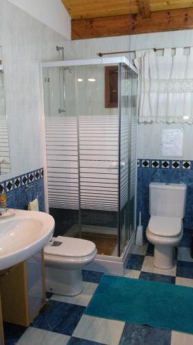 a bathroom with a toilet and a shower and a sink at Casa da Boavista in Santa Maria Da Feira